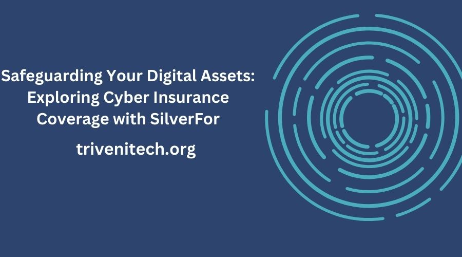 cyber insurance coverage silverfor